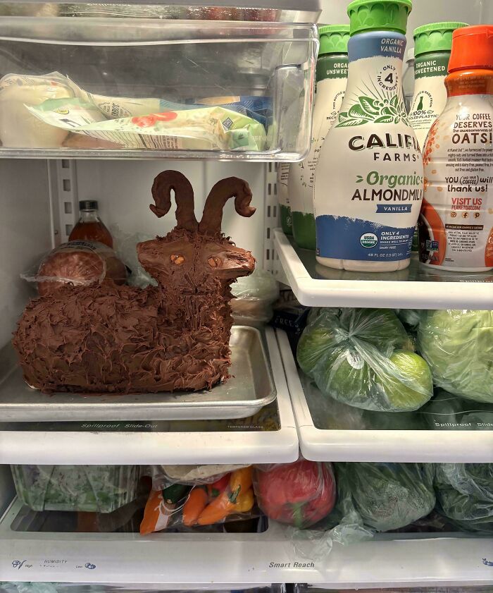 37 Of The Most Interesting Fridge Contents That Would Not Pass The Pinterest Aesthetic Vibe