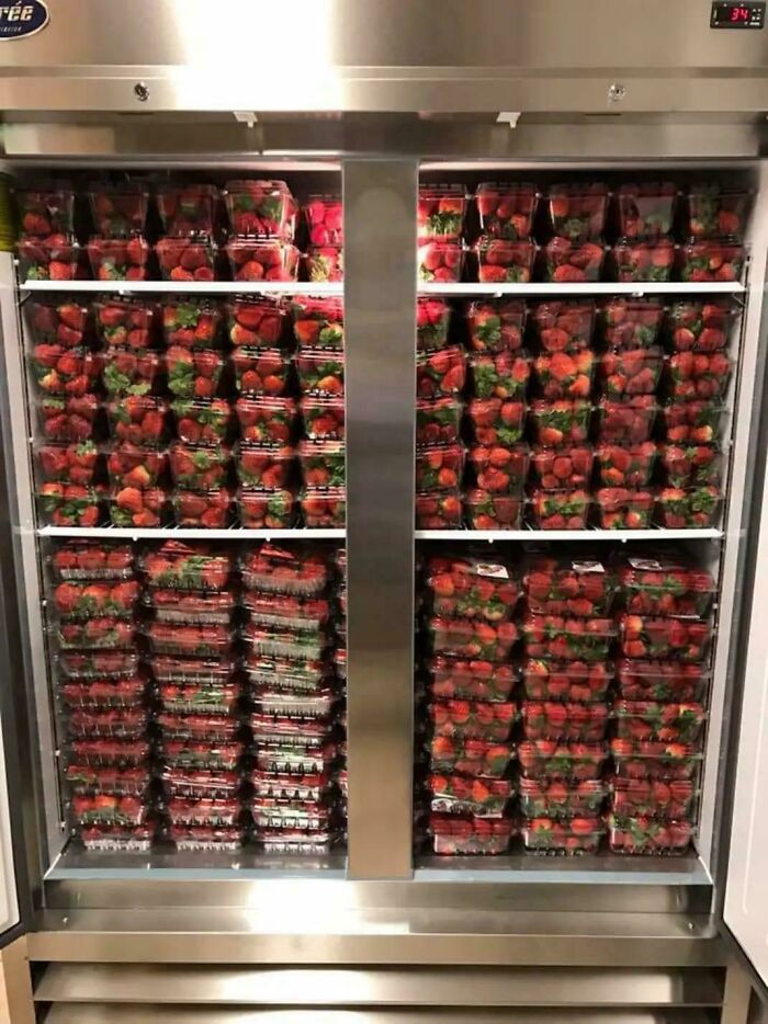 37 Of The Most Interesting Fridge Contents That Would Not Pass The Pinterest Aesthetic Vibe