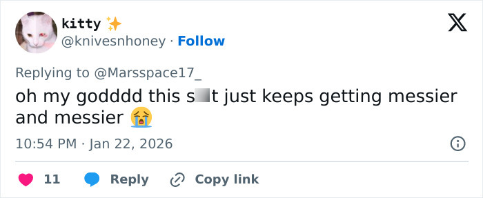 British Actress Jameela Jamil Brutally Insults “Villain” Blake Lively In Revealed Texts British Actress Jameela Jamil Brutally Insults “Villain” Blake Lively In Revealed Texts