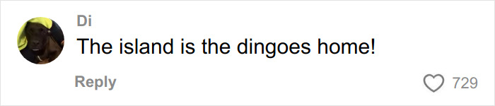 Autopsy Results Uncover Startling Clues In Case Of Canadian Teen Found Among Dingoes Autopsy Results Uncover Startling Clues In Case Of Canadian Teen Found Among Dingoes