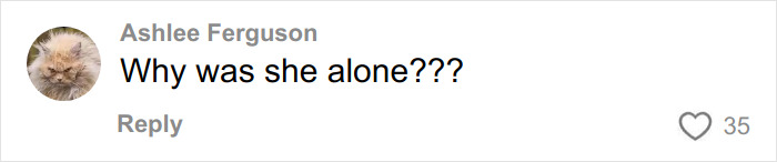 Autopsy Results Uncover Startling Clues In Case Of Canadian Teen Found Among Dingoes Autopsy Results Uncover Startling Clues In Case Of Canadian Teen Found Among Dingoes