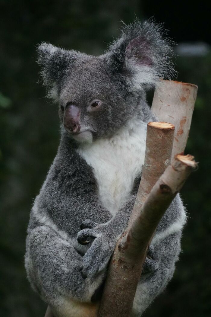 People Are Sharing Their Local Inside Jokes And These 38 Are Pretty Funny People Are Sharing Their Local Inside Jokes And These 38 Are Pretty Funny