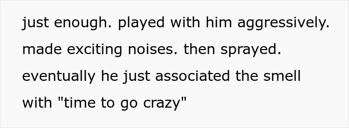 MIL Runs To The Priest After Son-In-Law’s Revenge On Her Works Hilariously Well