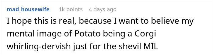 MIL Runs To The Priest After Son-In-Law’s Revenge On Her Works Hilariously Well