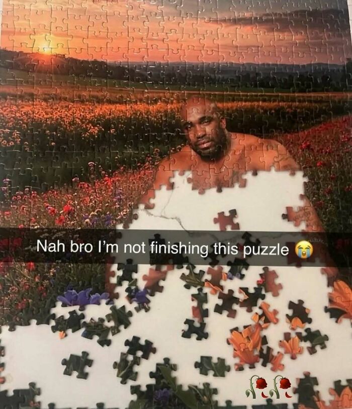 66 Random And Bizarre Memes That Might Leave You With More Questions Than Answers