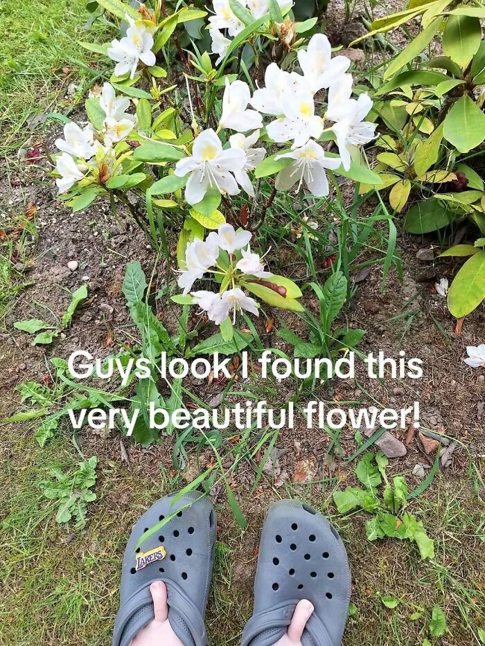 66 Random And Bizarre Memes That Might Leave You With More Questions Than Answers