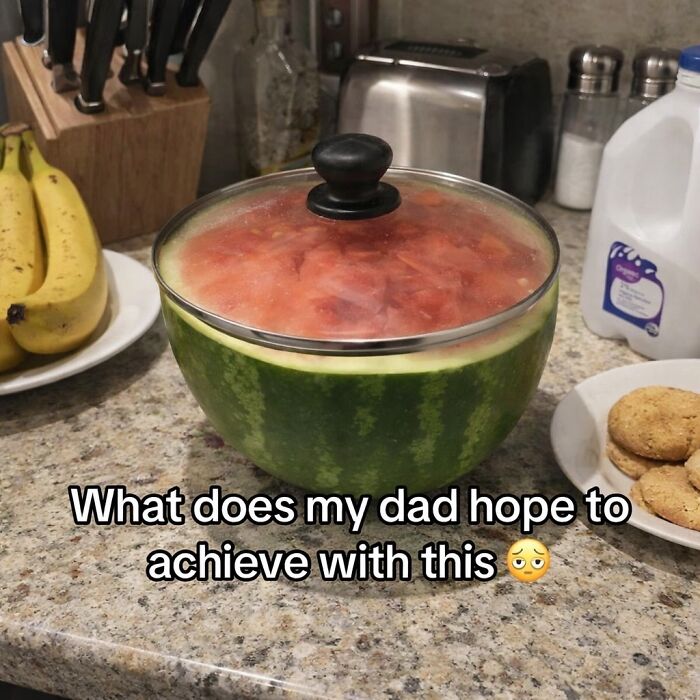 66 Random And Bizarre Memes That Might Leave You With More Questions Than Answers