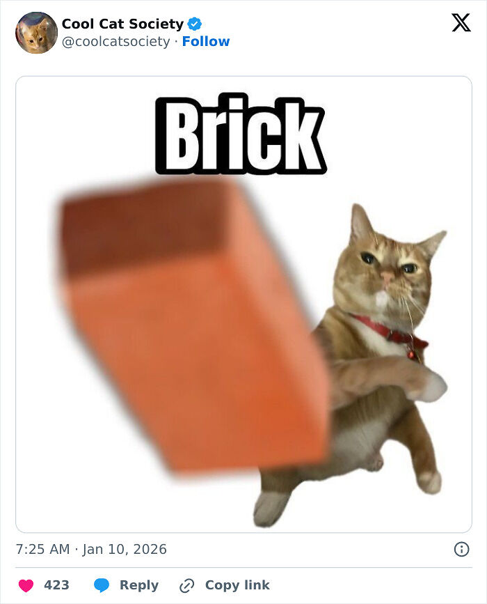 80 Funny Memes To Remind You How Awesome Cats Are