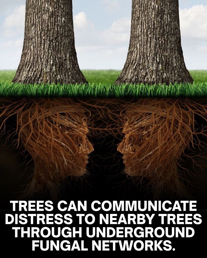 “Your Bones Are Wet”: 62 Scary Facts For Those Who Are Ready To Lose Sleep Tonight “Your Bones Are Wet”: 62 Scary Facts For Those Who Are Ready To Lose Sleep Tonight