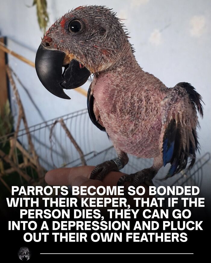 “Your Bones Are Wet”: 62 Scary Facts For Those Who Are Ready To Lose Sleep Tonight “Your Bones Are Wet”: 62 Scary Facts For Those Who Are Ready To Lose Sleep Tonight