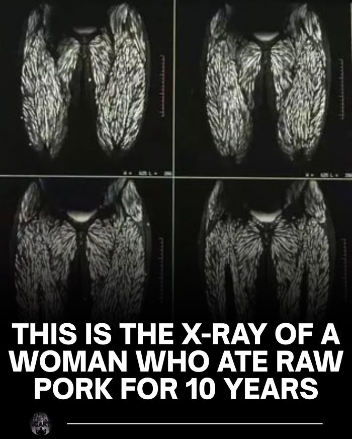 “Your Bones Are Wet”: 62 Scary Facts For Those Who Are Ready To Lose Sleep Tonight “Your Bones Are Wet”: 62 Scary Facts For Those Who Are Ready To Lose Sleep Tonight