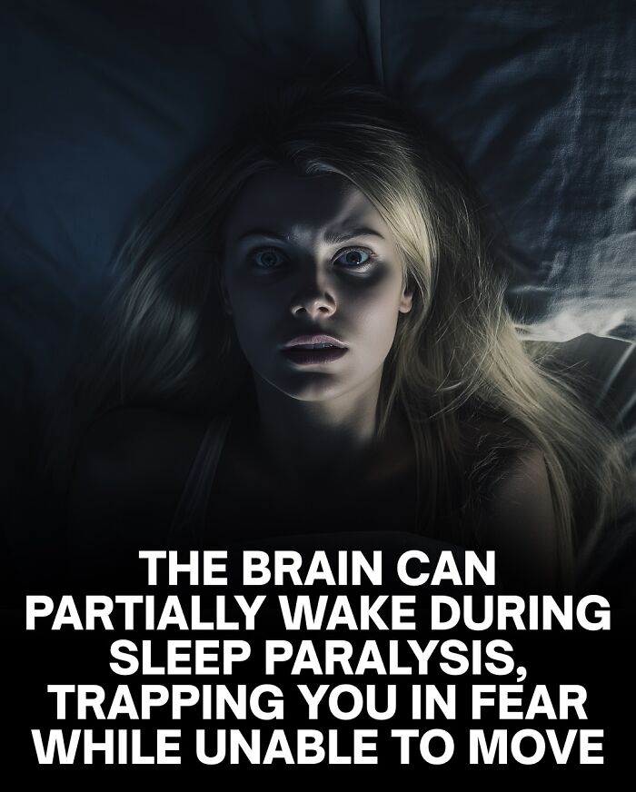 “Your Bones Are Wet”: 62 Scary Facts For Those Who Are Ready To Lose Sleep Tonight “Your Bones Are Wet”: 62 Scary Facts For Those Who Are Ready To Lose Sleep Tonight