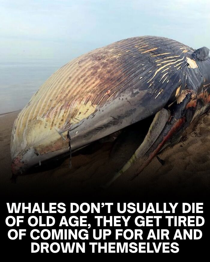 “Your Bones Are Wet”: 62 Scary Facts For Those Who Are Ready To Lose Sleep Tonight “Your Bones Are Wet”: 62 Scary Facts For Those Who Are Ready To Lose Sleep Tonight