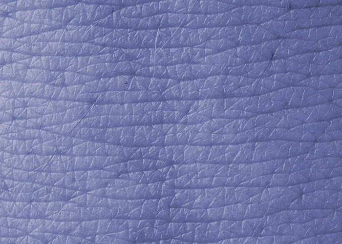 “He was Severely Bullied”: 83 Rare Physiological Traits That Most People Will Never See In Person