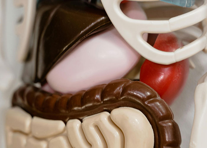 “He was Severely Bullied”: 83 Rare Physiological Traits That Most People Will Never See In Person