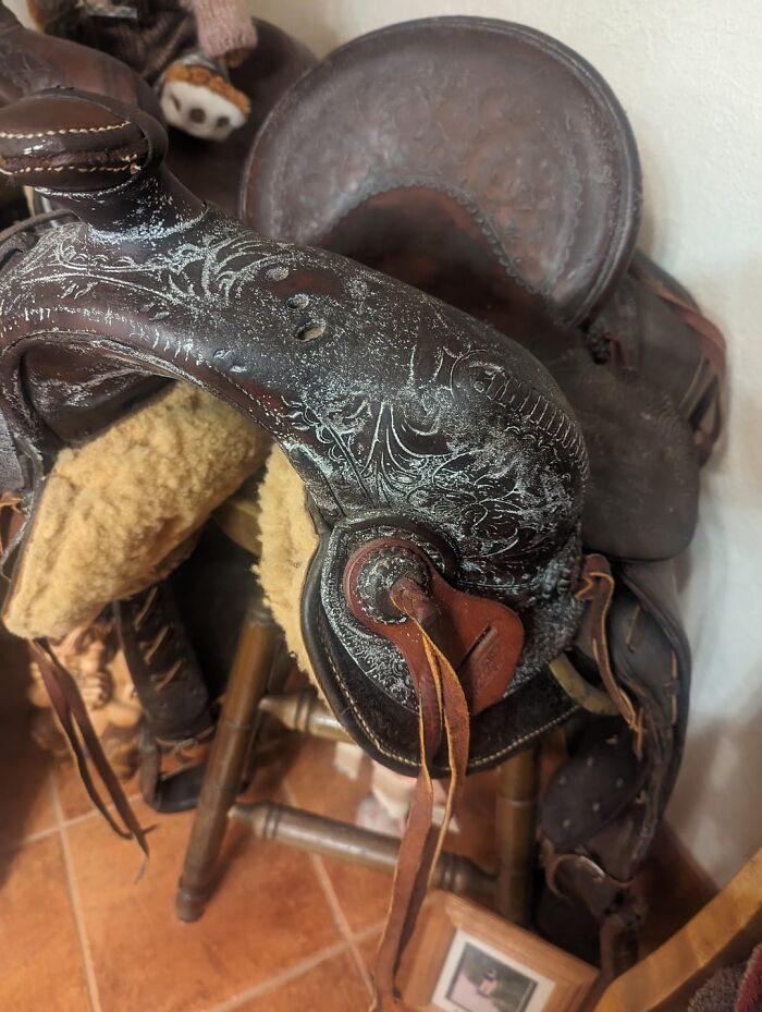 46 Obscure And Weird Medical Facts