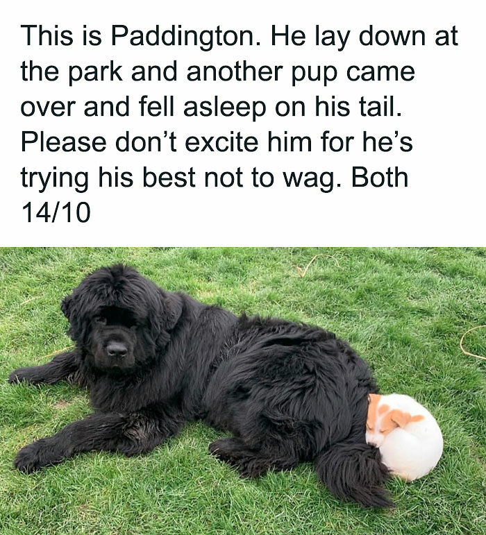 92 Random Memes That Had No Right To Be This Funny 92 Random Memes That Had No Right To Be This Funny