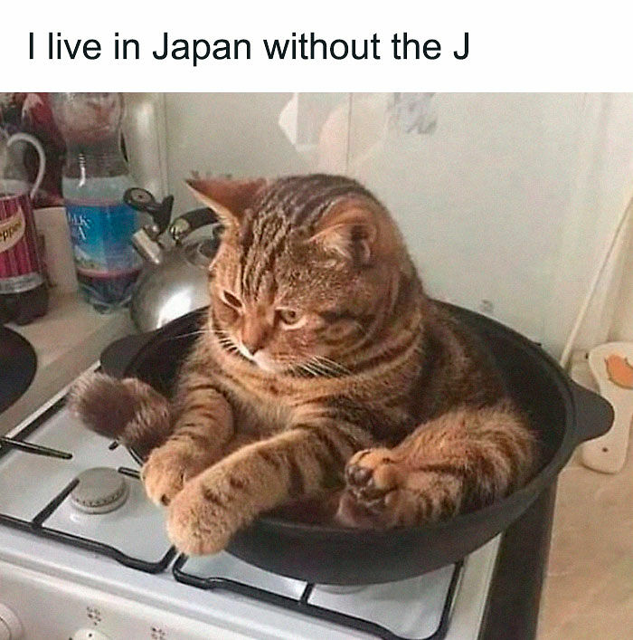 92 Random Memes That Had No Right To Be This Funny 92 Random Memes That Had No Right To Be This Funny