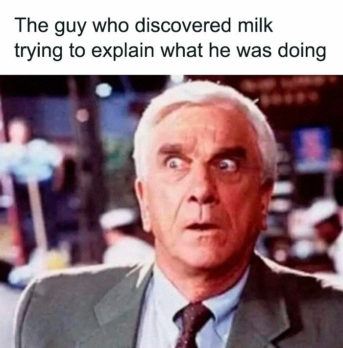 92 Random Memes That Had No Right To Be This Funny 92 Random Memes That Had No Right To Be This Funny