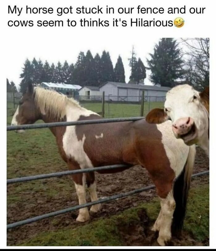 92 Random Memes That Had No Right To Be This Funny 92 Random Memes That Had No Right To Be This Funny