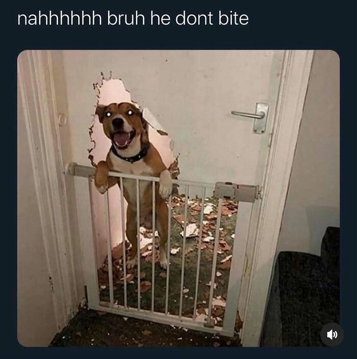 92 Random Memes That Had No Right To Be This Funny 92 Random Memes That Had No Right To Be This Funny