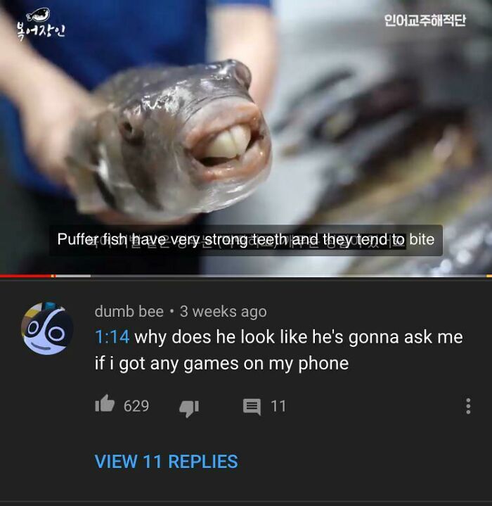 96 Of The Best Comebacks And Comments From Social Media 96 Of The Best Comebacks And Comments From Social Media