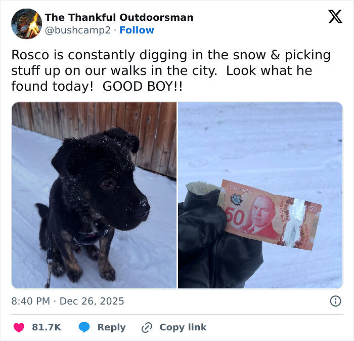 People Are Cracking Up At These 67 Spot-On Tweets About Winter People Are Cracking Up At These 67 Spot-On Tweets About Winter