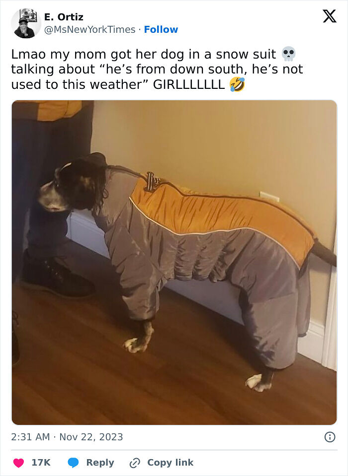 People Are Cracking Up At These 67 Spot-On Tweets About Winter People Are Cracking Up At These 67 Spot-On Tweets About Winter