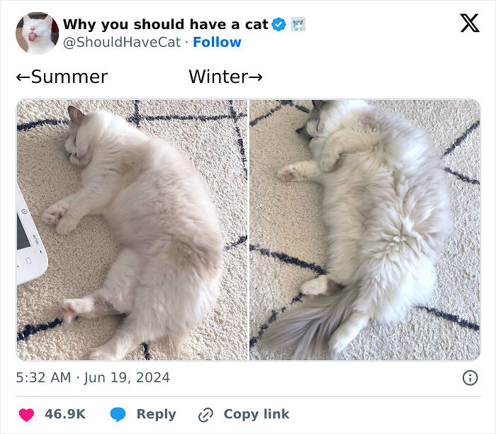 People Are Cracking Up At These 67 Spot-On Tweets About Winter People Are Cracking Up At These 67 Spot-On Tweets About Winter