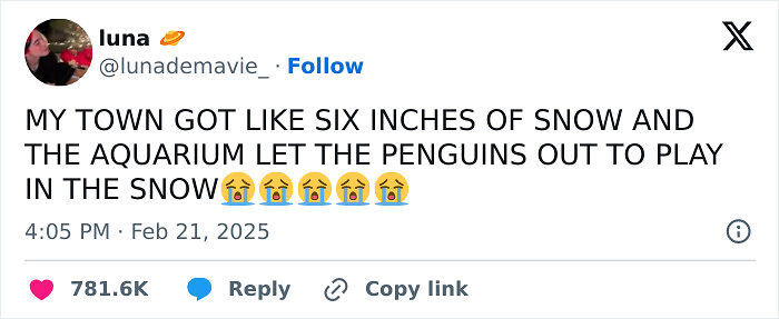 People Are Cracking Up At These 67 Spot-On Tweets About Winter People Are Cracking Up At These 67 Spot-On Tweets About Winter