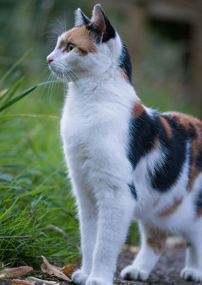 58 Times People Were So Smart It Was Borderline Creepy 58 Times People Were So Smart It Was Borderline Creepy