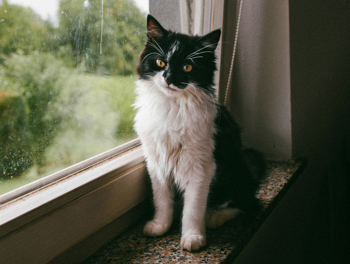 58 Times People Were So Smart It Was Borderline Creepy 58 Times People Were So Smart It Was Borderline Creepy