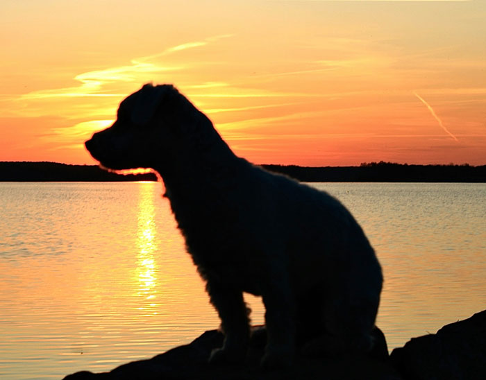 58 Times People Were So Smart It Was Borderline Creepy 58 Times People Were So Smart It Was Borderline Creepy