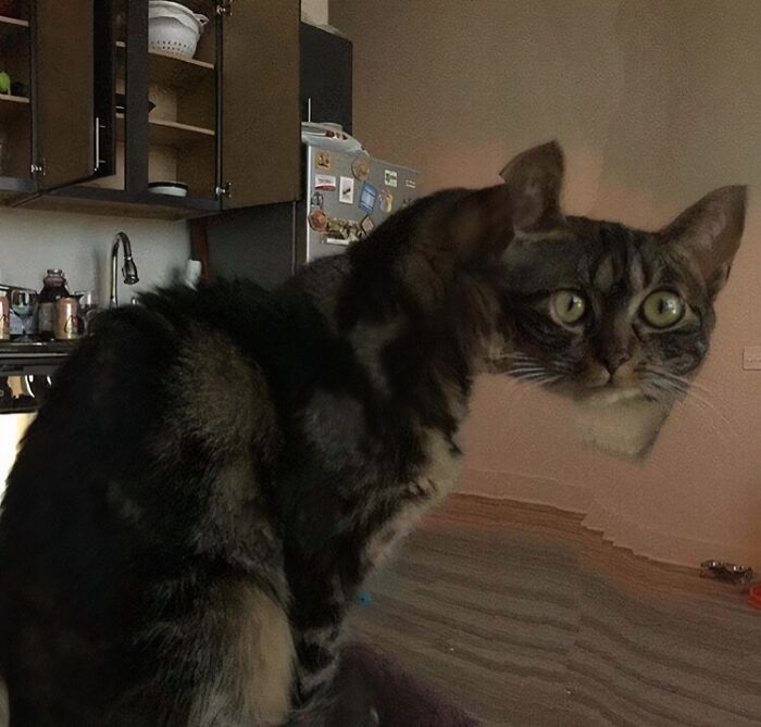 49 Panoramic Photo Fails That Are Actually Accidental Masterpieces