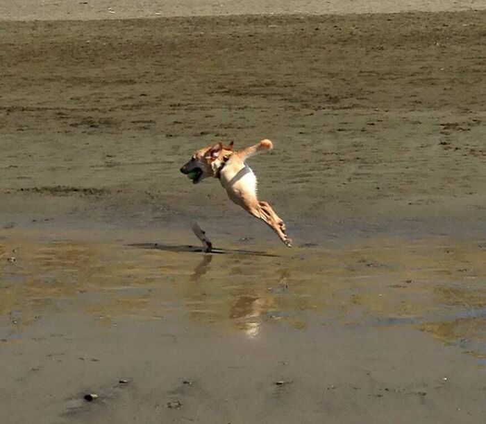 49 Panoramic Photo Fails That Are Actually Accidental Masterpieces