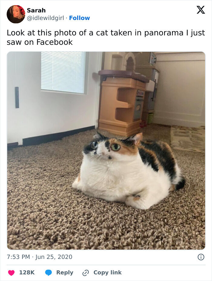 49 Panoramic Photo Fails That Are Actually Accidental Masterpieces