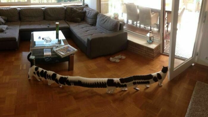 49 Panoramic Photo Fails That Are Actually Accidental Masterpieces