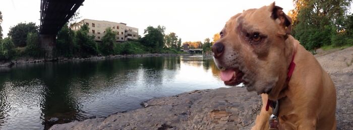 49 Panoramic Photo Fails That Are Actually Accidental Masterpieces