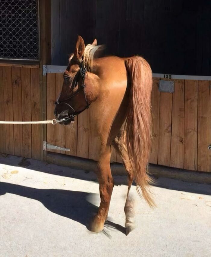 49 Panoramic Photo Fails That Are Actually Accidental Masterpieces