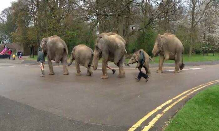 49 Panoramic Photo Fails That Are Actually Accidental Masterpieces