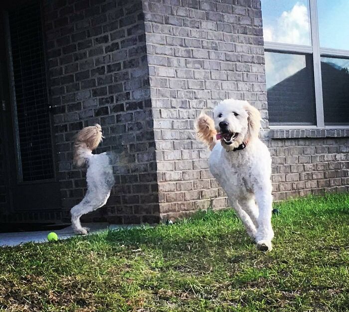 49 Panoramic Photo Fails That Are Actually Accidental Masterpieces