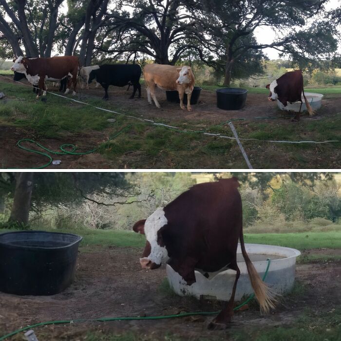 49 Panoramic Photo Fails That Are Actually Accidental Masterpieces