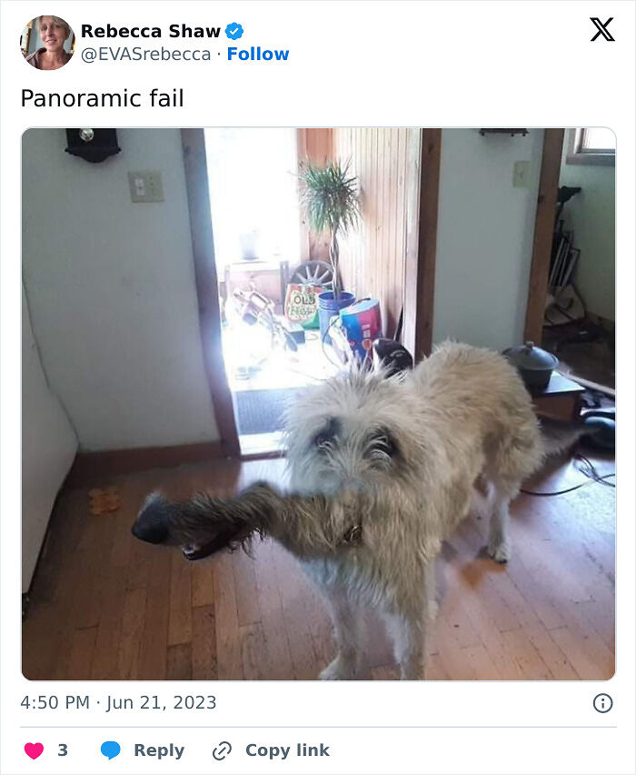 49 Panoramic Photo Fails That Are Actually Accidental Masterpieces