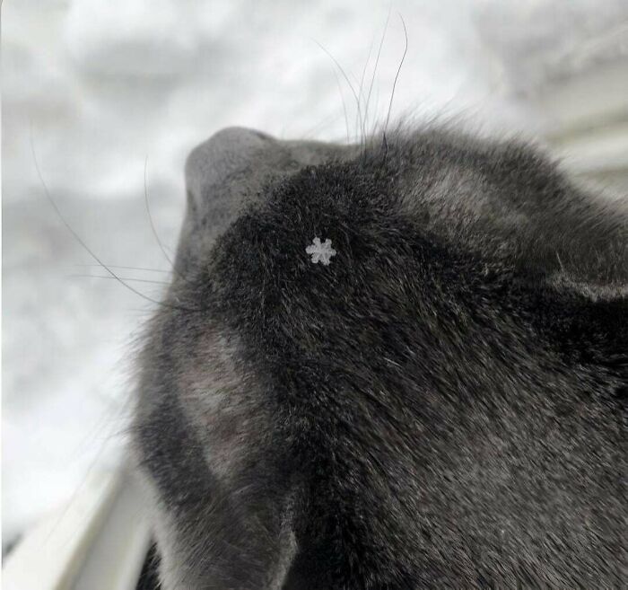 132 Photos Of Snowy Places That Look Straight Out Of A Fairytale