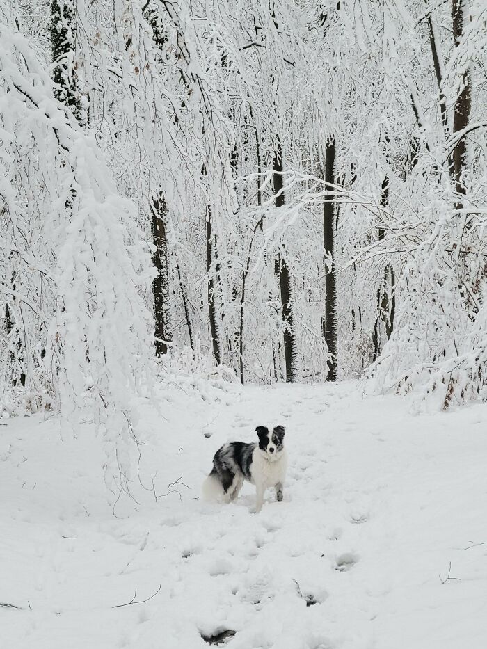 132 Photos Of Snowy Places That Look Straight Out Of A Fairytale