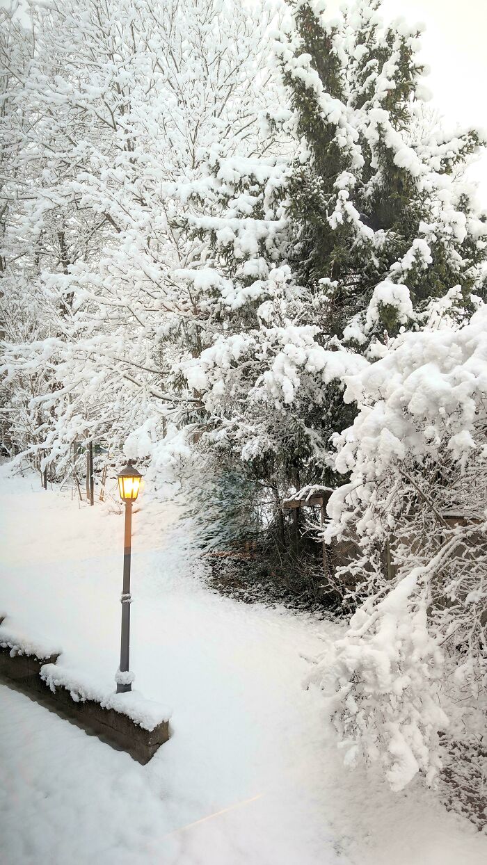 132 Photos Of Snowy Places That Look Straight Out Of A Fairytale