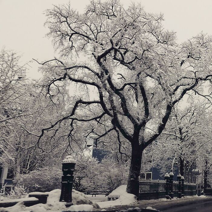 132 Photos Of Snowy Places That Look Straight Out Of A Fairytale