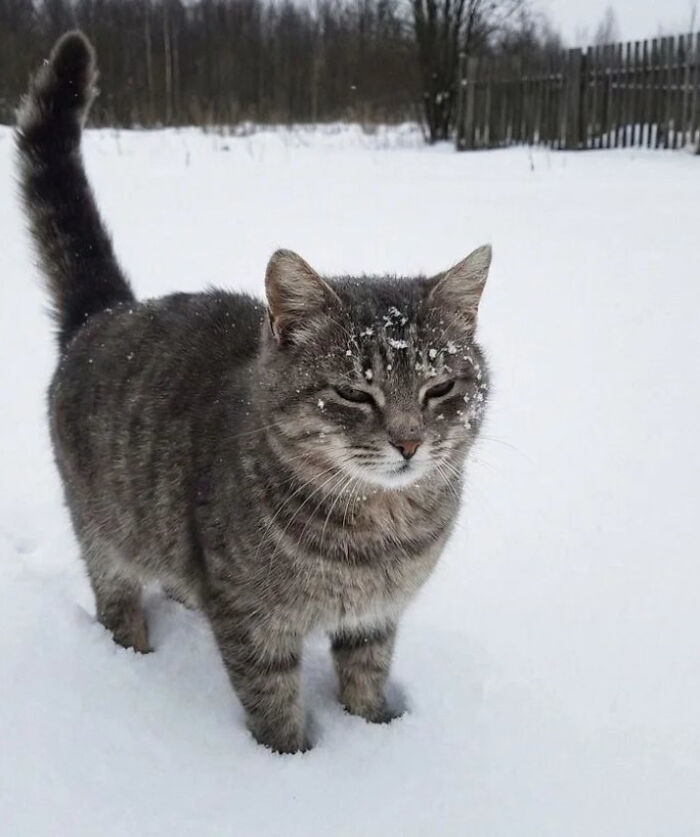 132 Photos Of Snowy Places That Look Straight Out Of A Fairytale