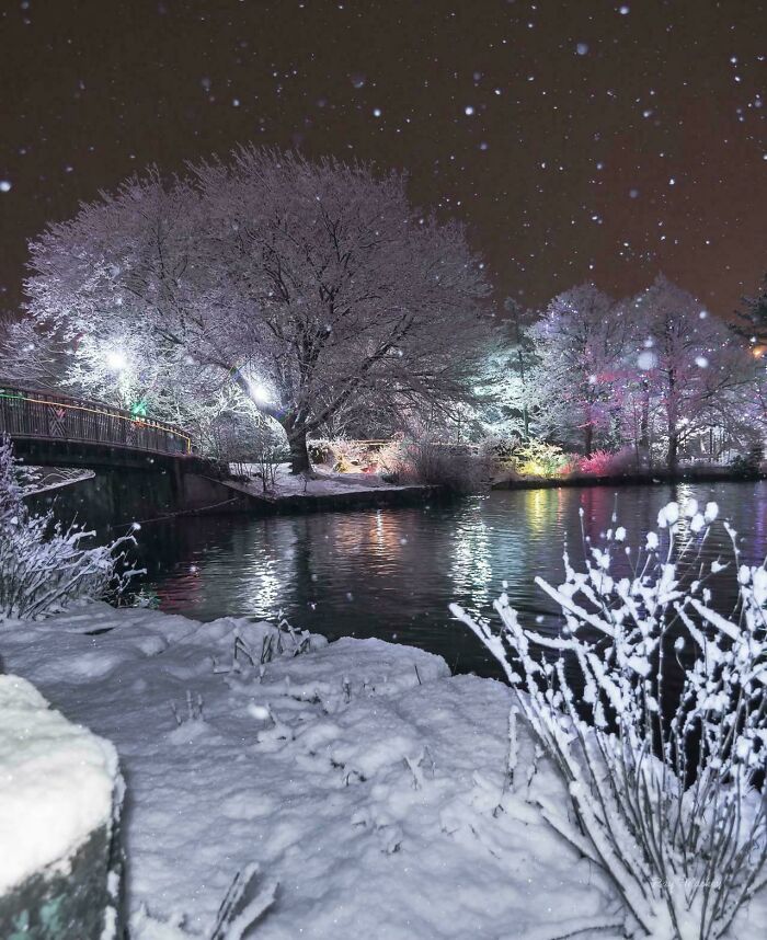 132 Photos Of Snowy Places That Look Straight Out Of A Fairytale