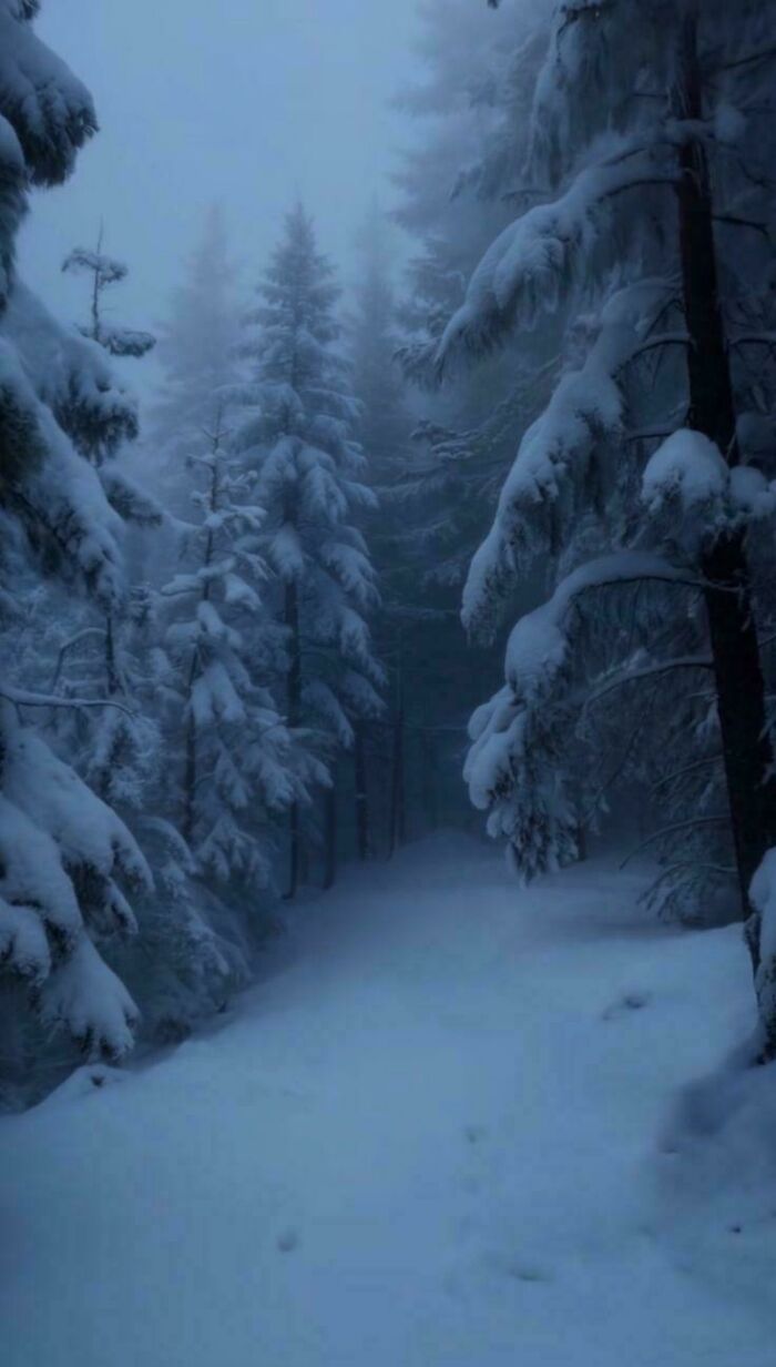 132 Photos Of Snowy Places That Look Straight Out Of A Fairytale